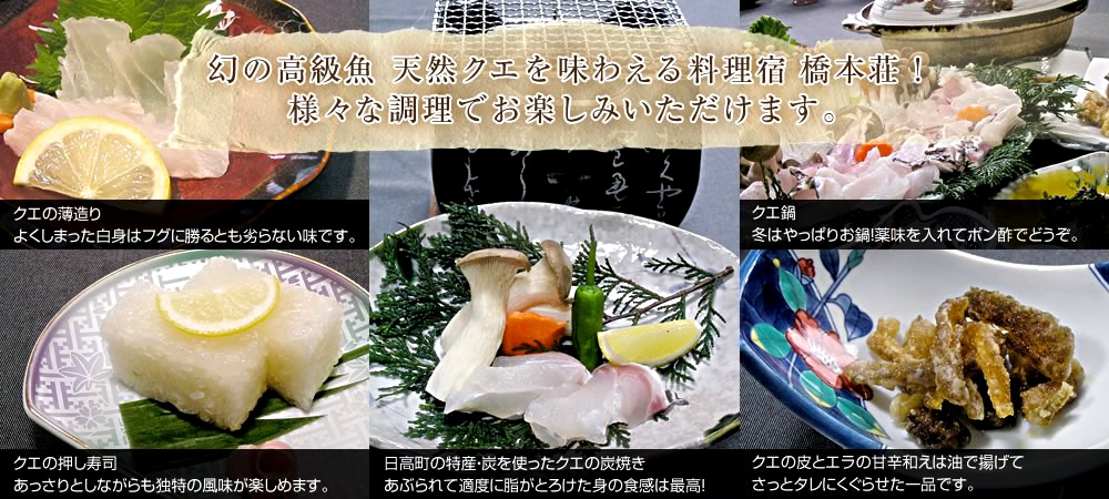 幻の高級魚 天然クエを味わえる料理宿 和歌山 橋本荘！様々な調理でお楽しみいただけます。クエの薄造りよくしまった白身はフグに勝るとも劣らない味です。クエ鍋冬はやっぱりお鍋！薬味を入れてポン酢でどうぞ。クエの押し寿司あっさりとしながらも独特の風味が楽しめます。日高町の特産・炭を使ったクエの炭焼きあぶられて適度に脂がとろけた身の食感は最高！クエの皮とエラの甘辛和えは油で揚げてさっとタレにくぐらせた一品です。