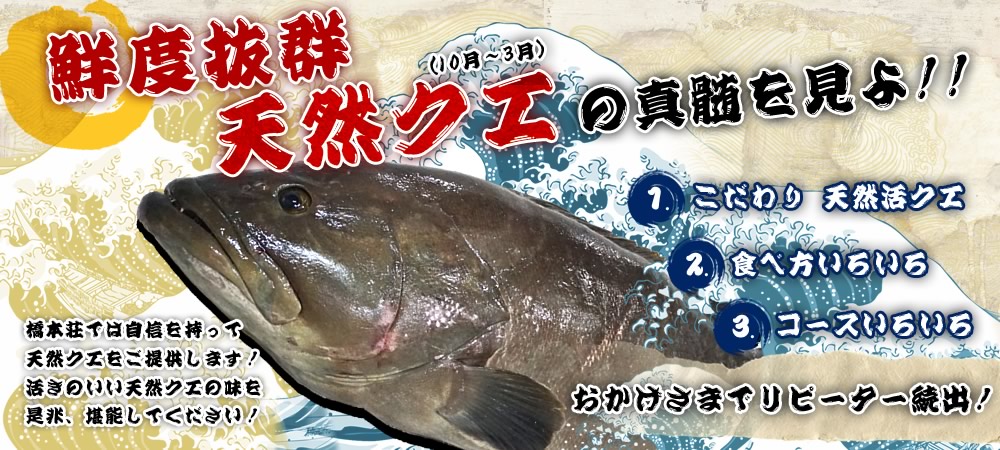 鮮度抜群天然クエの真髄をみよ。和歌山県橋本荘では自信を持って天然クエをご提供します！活きのいい天然クエの味を是非、堪能してください！こだわり 天然活クエ。食べ方いろいろ。コースいろいろ。おかげさまでリピーター続出！