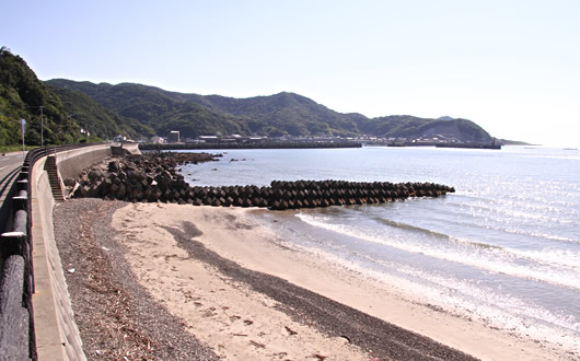 海岸